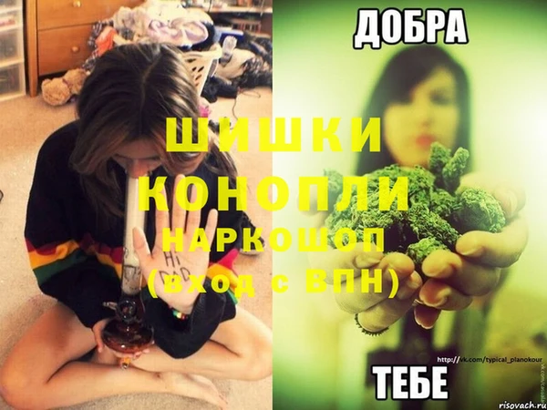 стафф Балабаново
