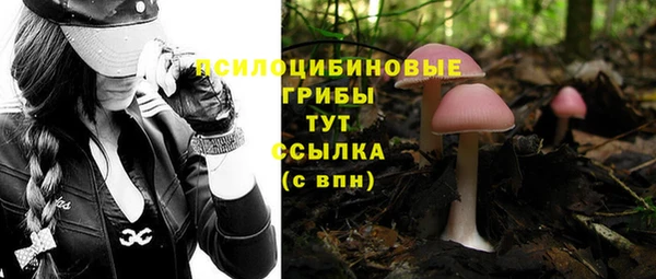 ALPHA-PVP Баксан