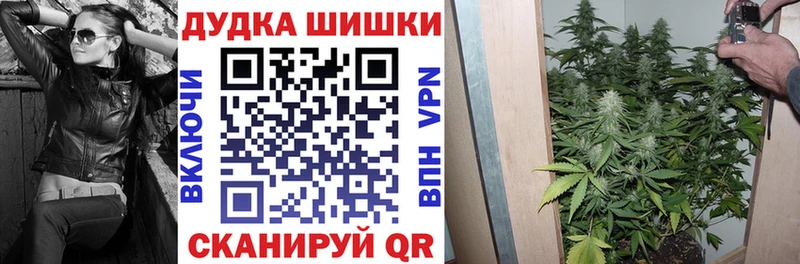 Бошки Шишки ГИДРОПОН Новоаннинский